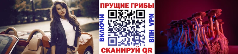 blacksprut сайт  площадка наркотические препараты  Галлюциногенные грибы Cubensis  Химки 