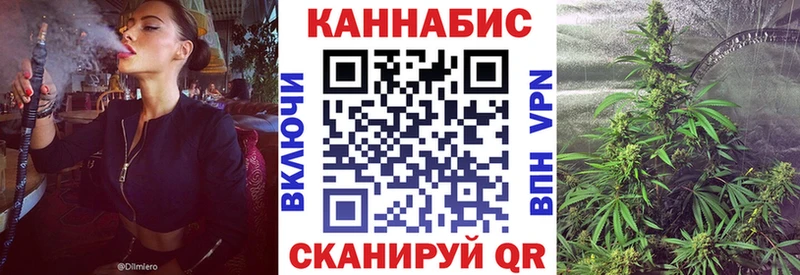 Конопля план Химки